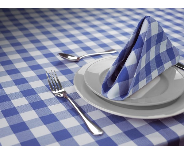 Blue Gingham 