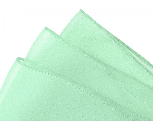 Mint Green Organza