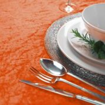 Orange Crushed Velvet 