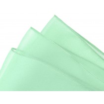 Mint Green Organza
