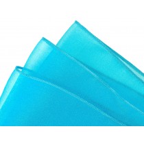 Turquoise Organza